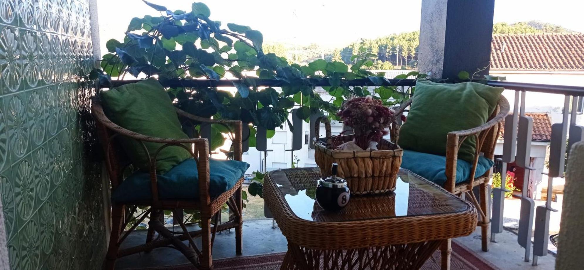 Homestay Local Os Maias *
