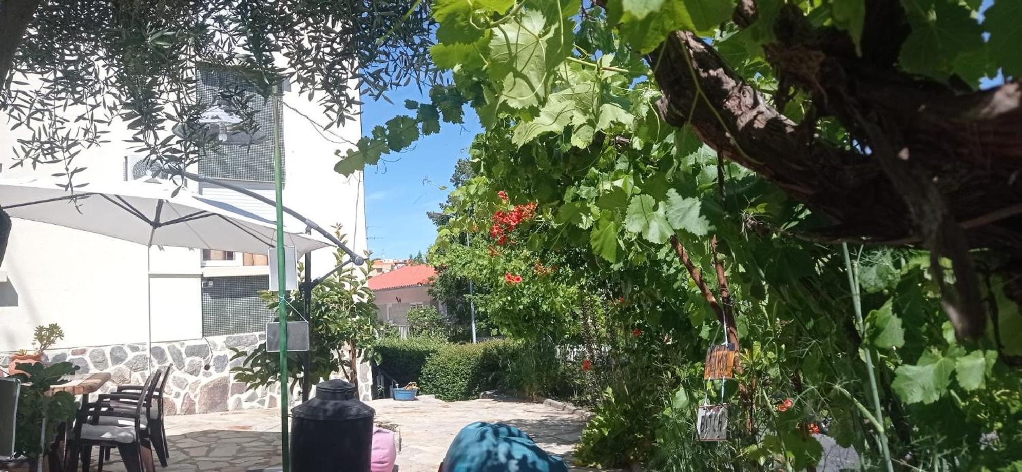 Local Os Maias Homestay *
