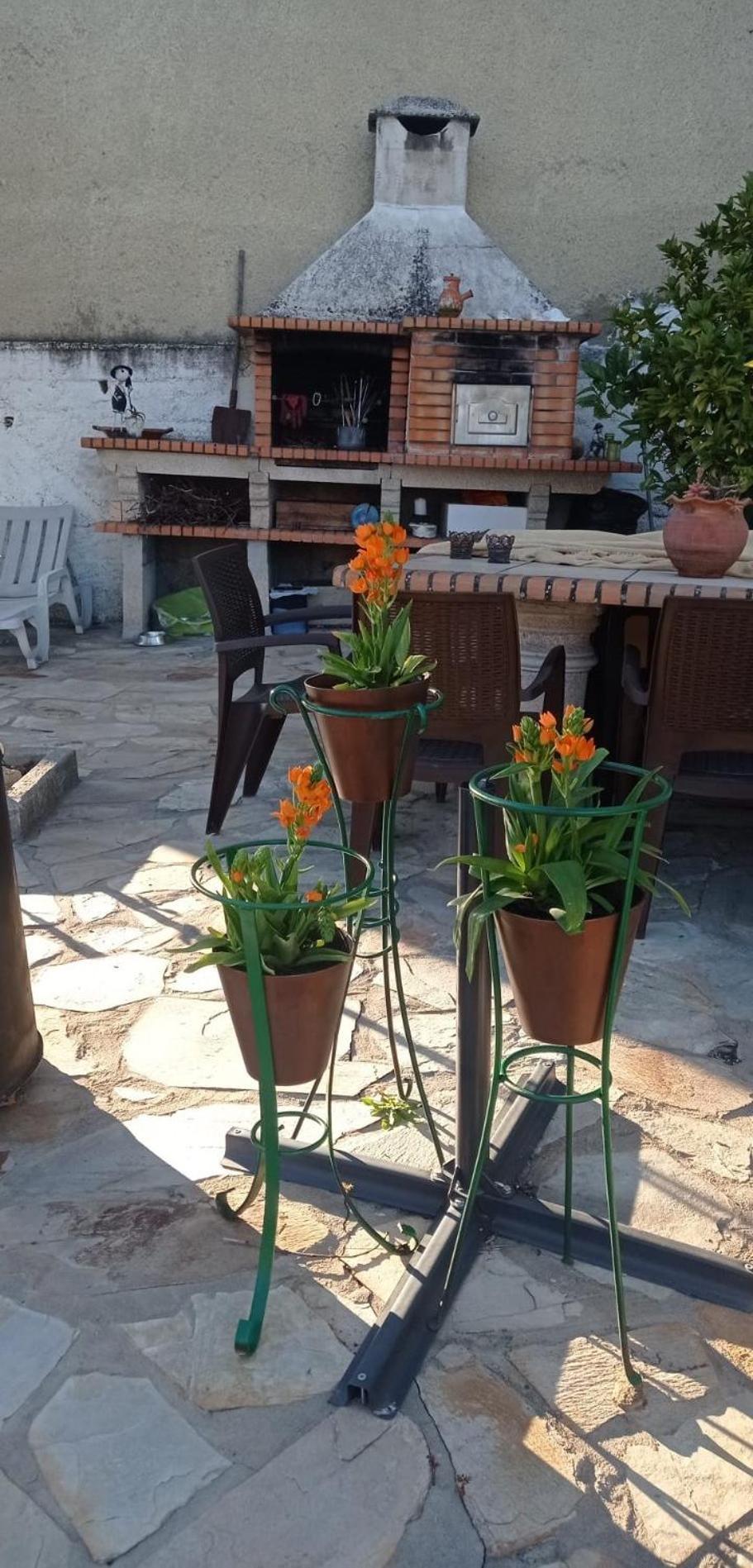 Homestay Local Os Maias
