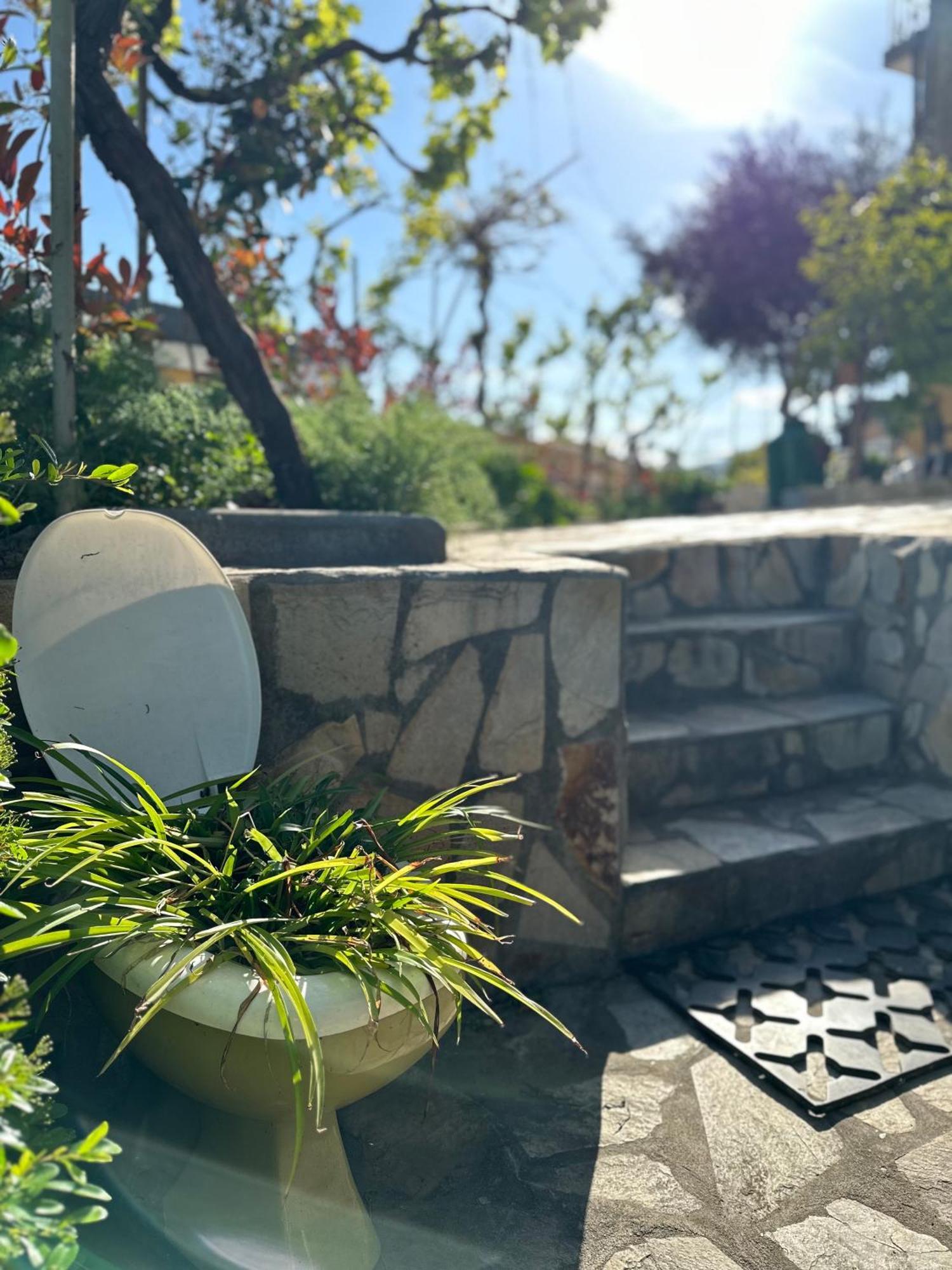 Homestay Local Os Maias Mirandela
