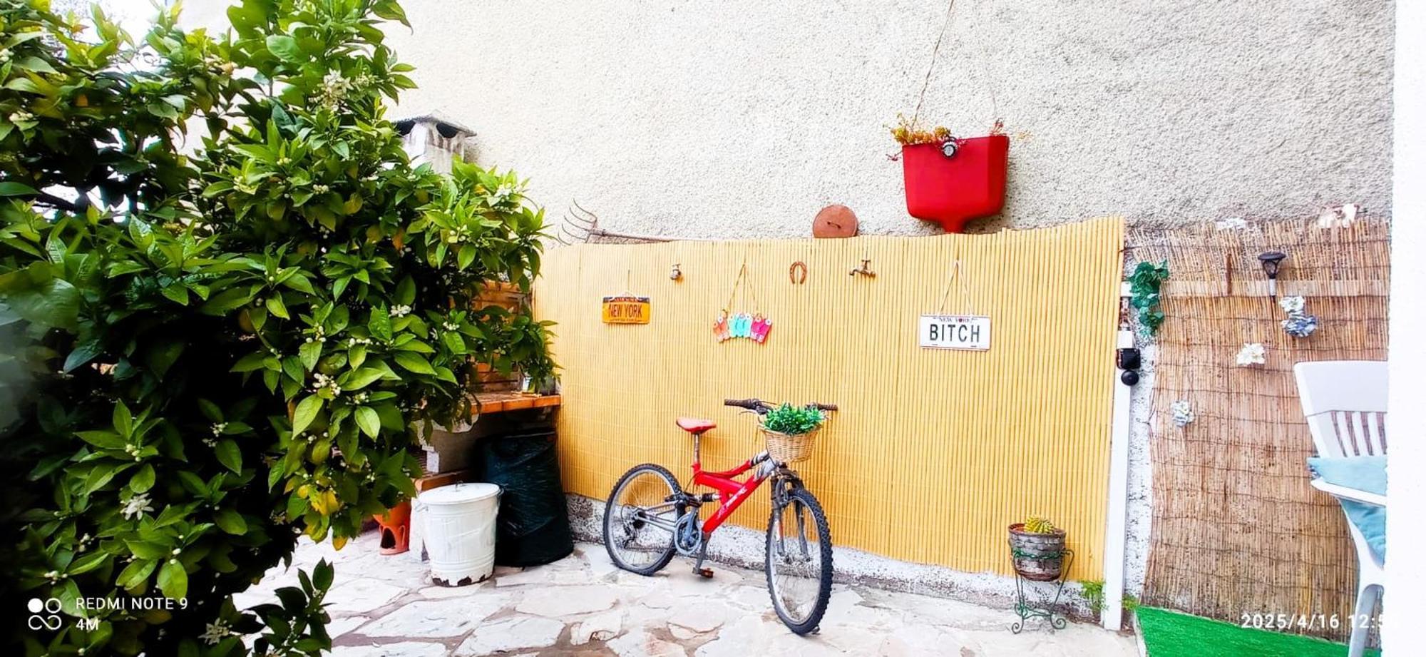 Local Os Maias Homestay